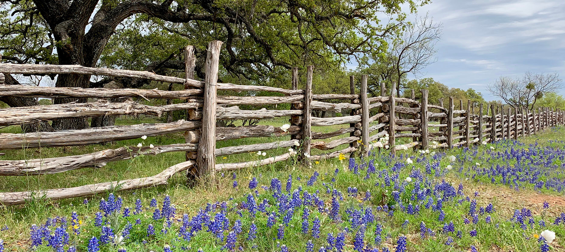 Comal County
